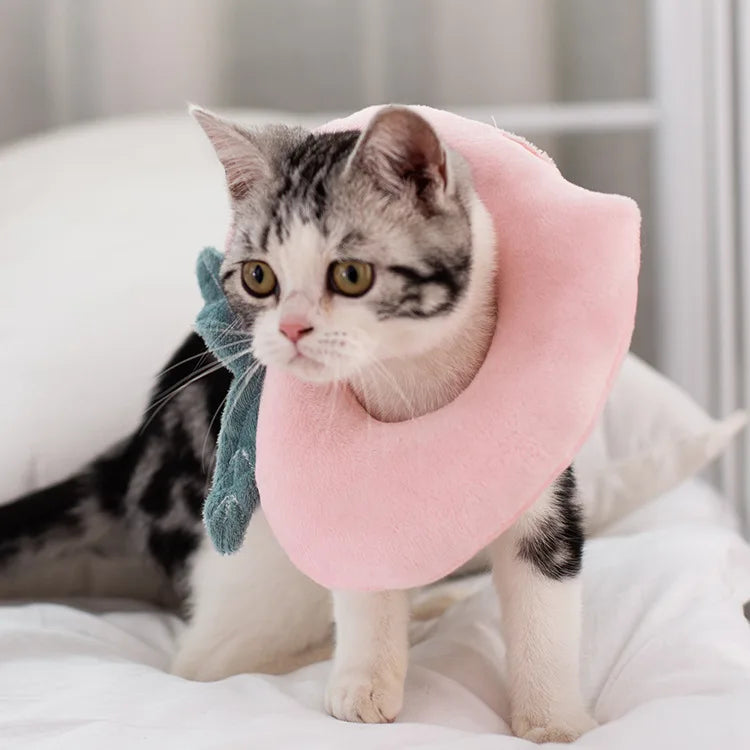 Protetor cervical anti-feridas para o seu gato