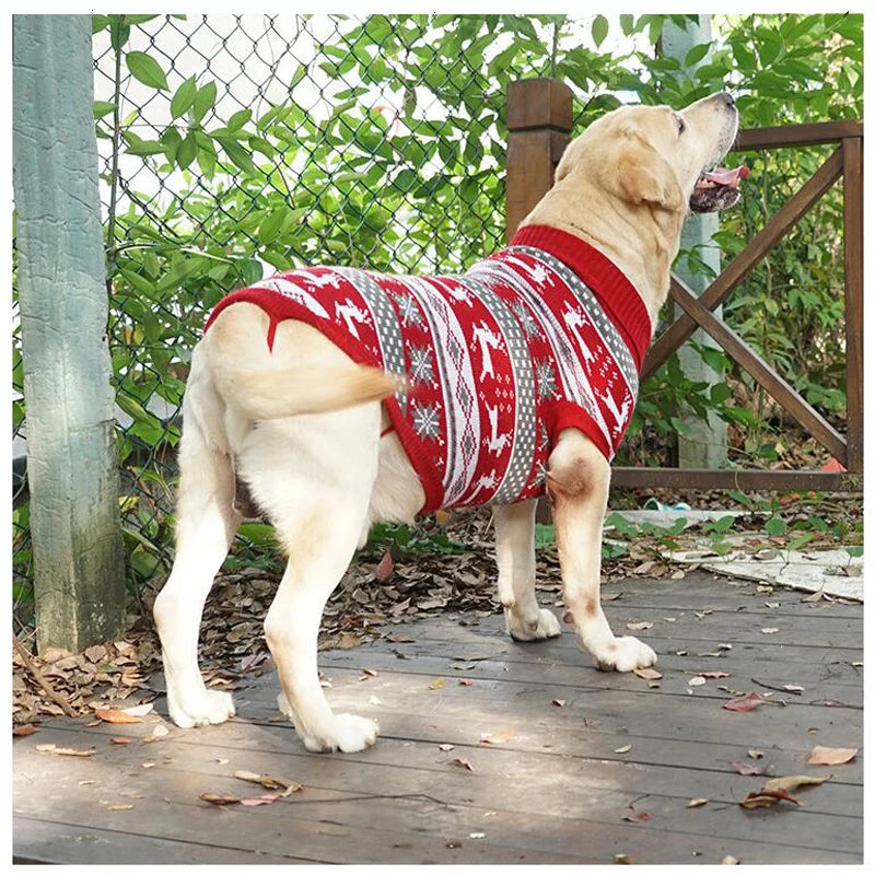 ✨ Suéteres que Garantem Conforto e Elegância para Seu Cachorro!