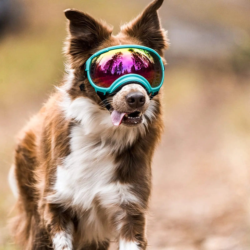 Óculos Anti-UV, Resistente e Moderno