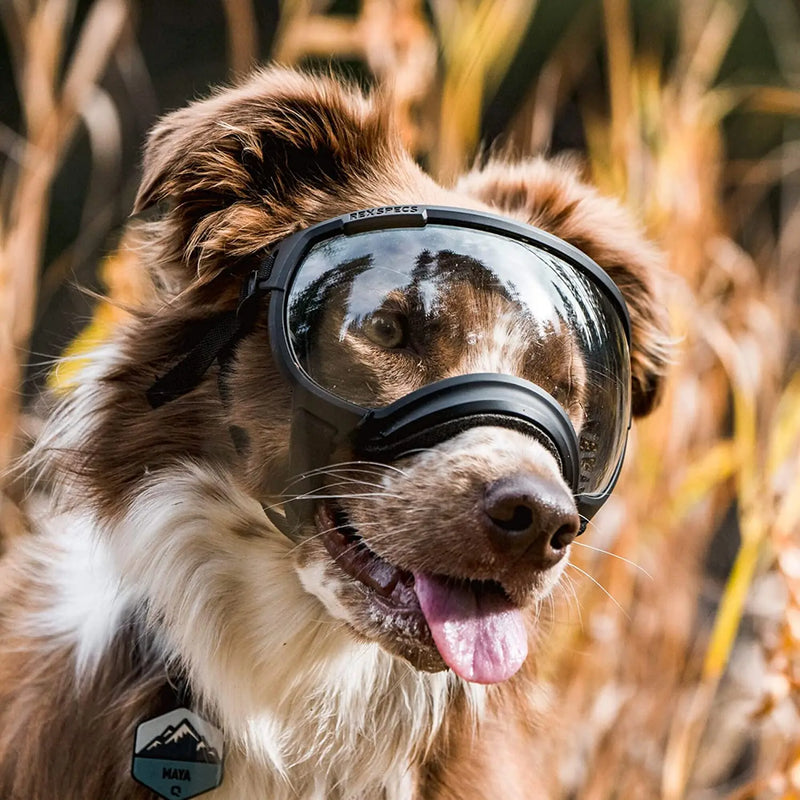 Óculos Anti-UV, Resistente e Moderno