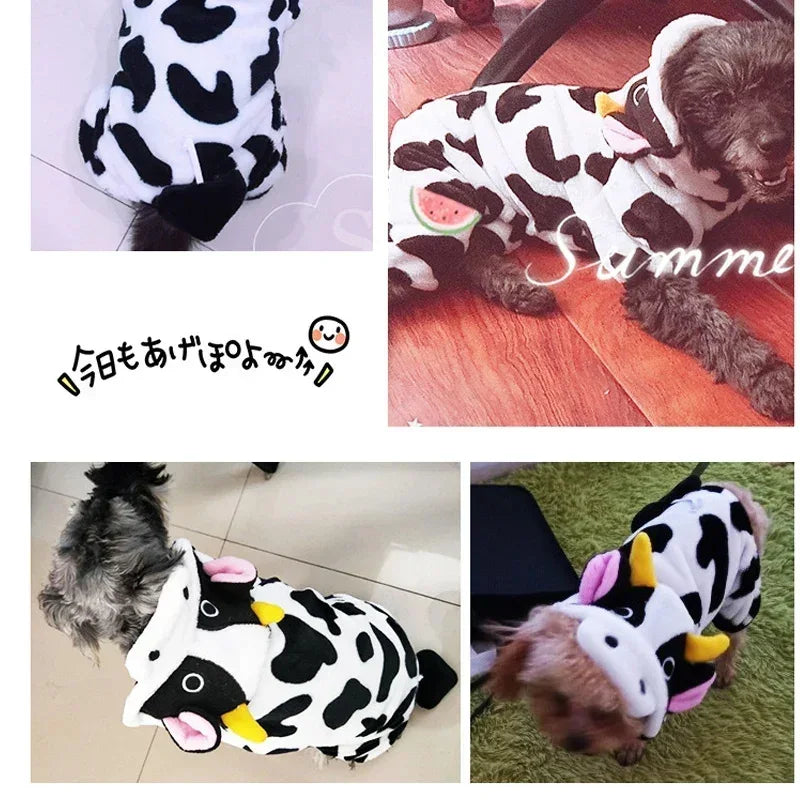 Roupa fantasia para cachorro: aquece e diverte!