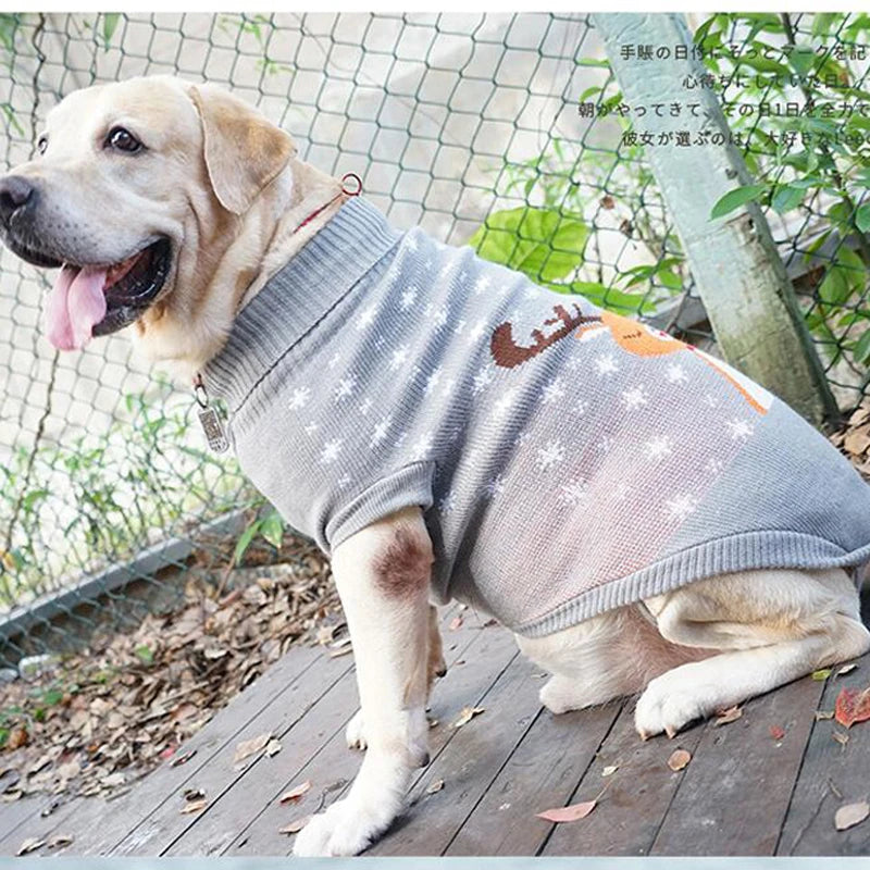 ✨ Suéteres que Garantem Conforto e Elegância para Seu Cachorro!