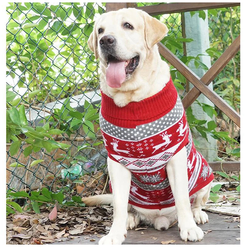 ✨ Suéteres que Garantem Conforto e Elegância para Seu Cachorro!